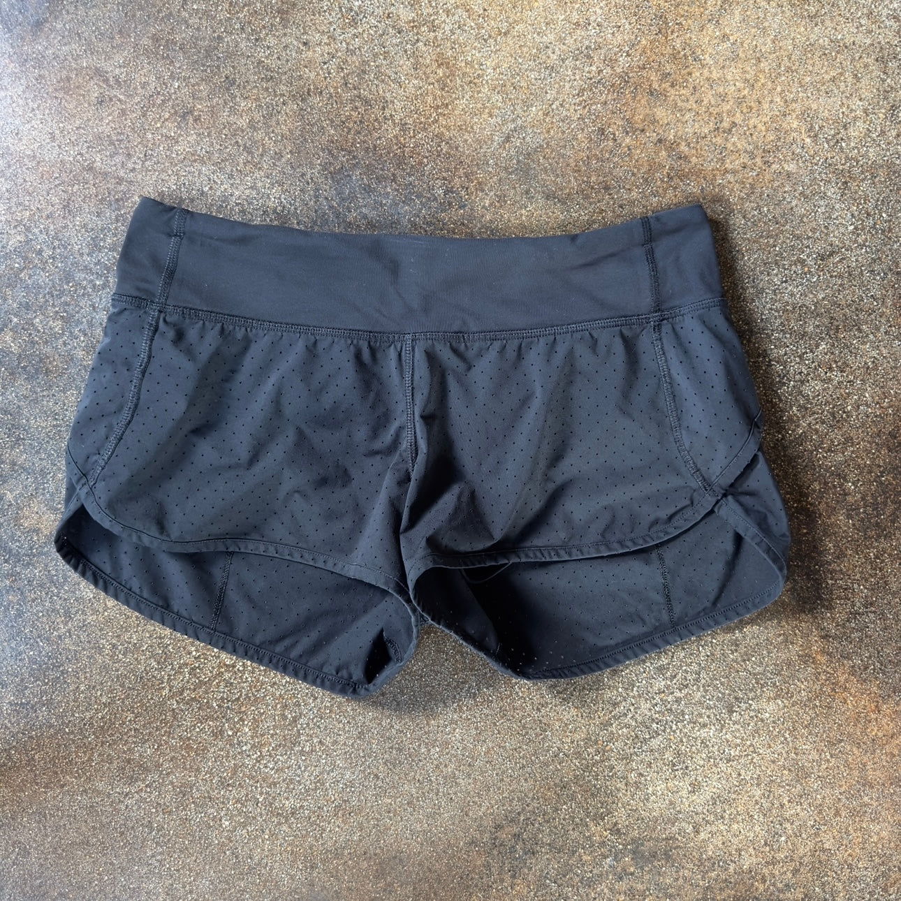 Size 6 Speed Short Perforated 2.5” *logo wear